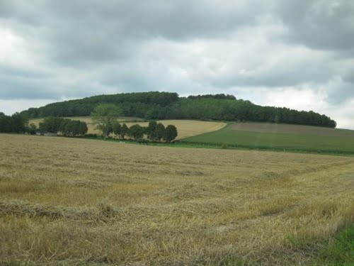 Burg am Stoppelberg